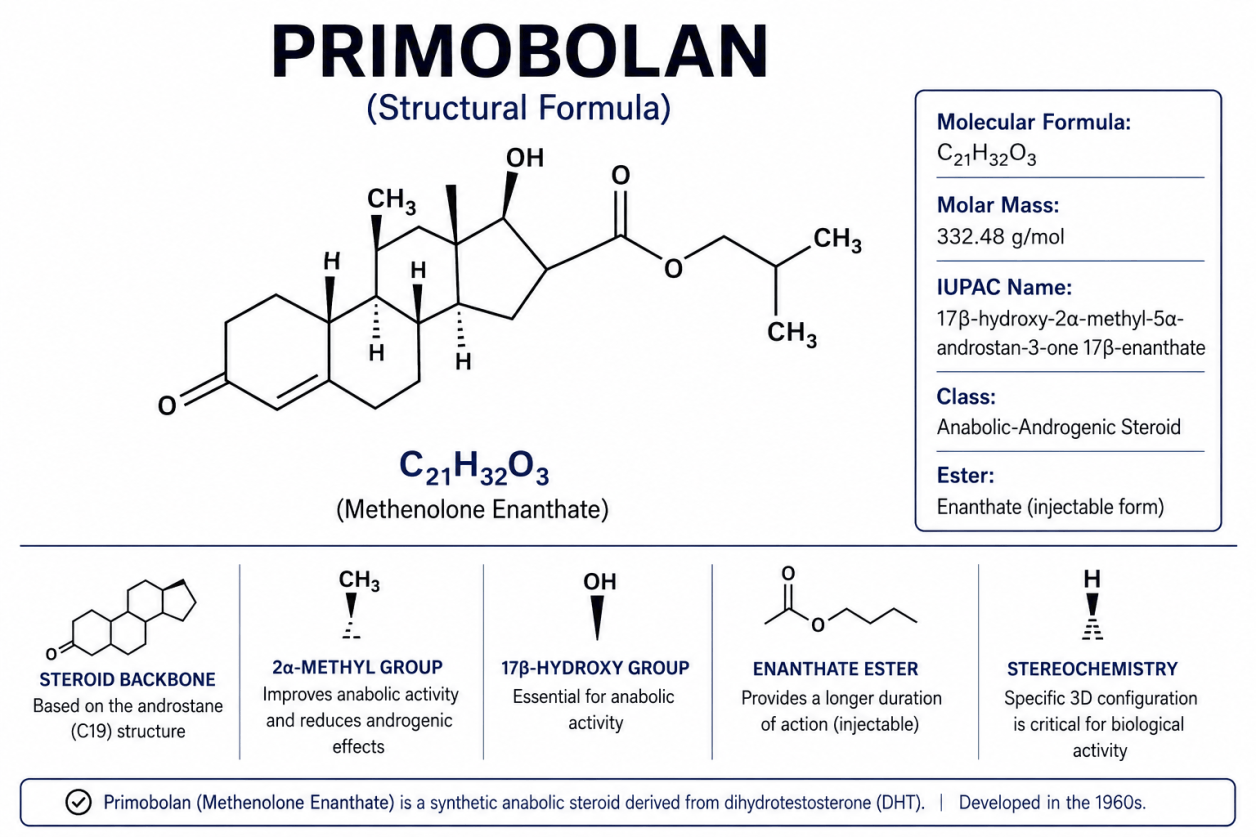 Primobolan Methenolon – Informatie over werking en risico's bij bodybuilding
