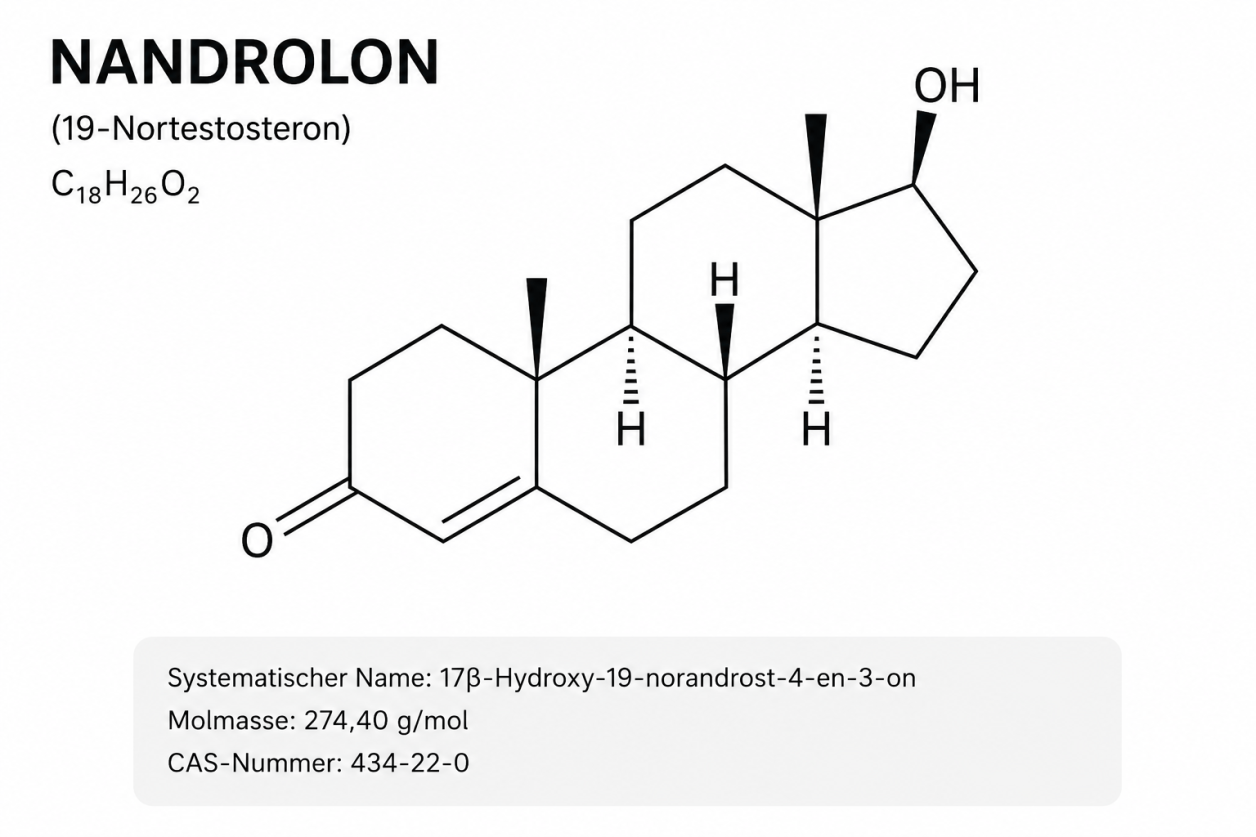 Structuurformule van nandrolon in de banner van Drachensang Academy Nederland – Moleculaire configuratie van de anabole steroïde