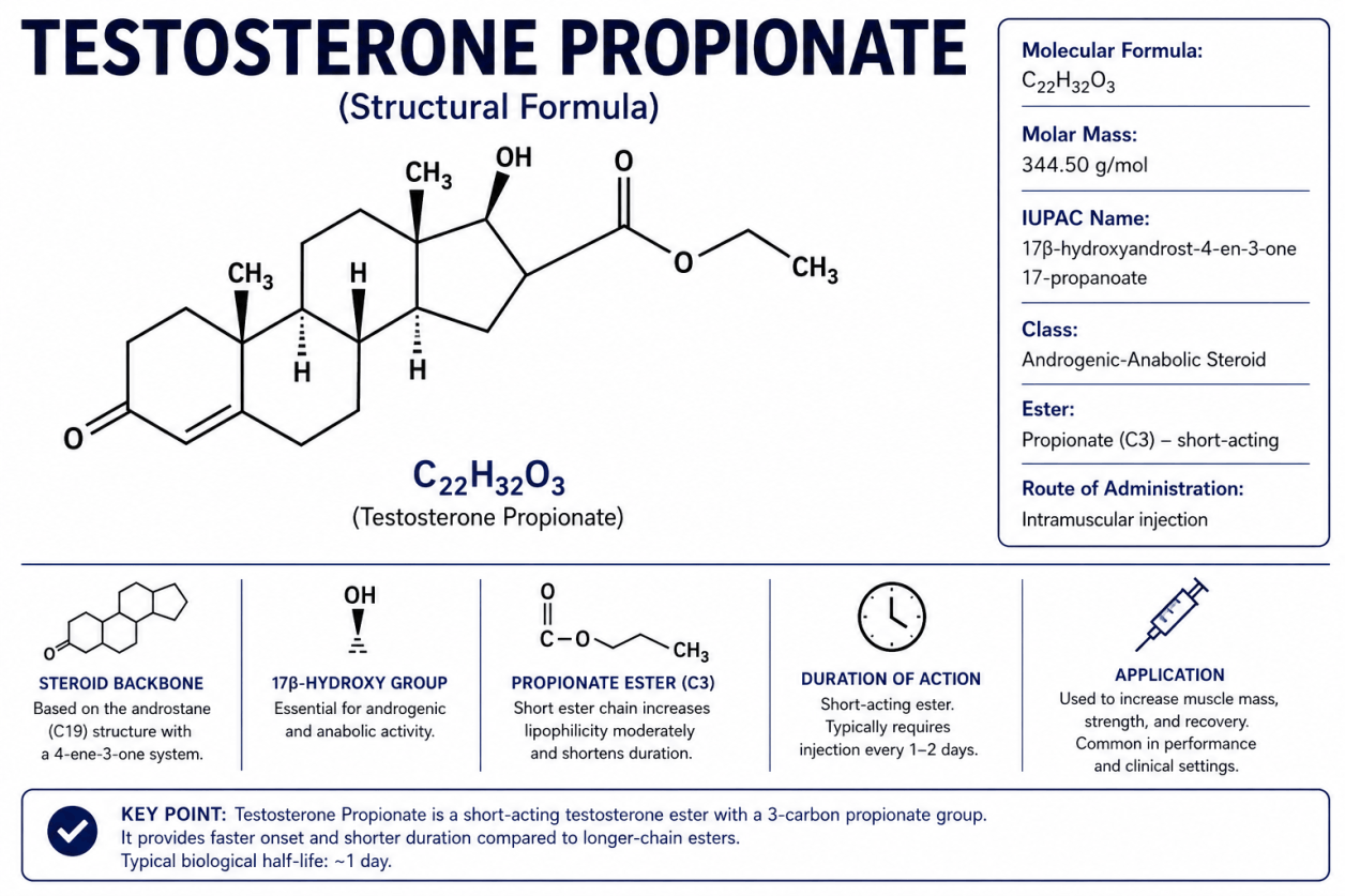 Testosteron Propionaat – Informatie over werking, eigenschappen en risico's